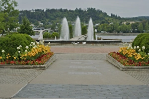 Images Dated 23rd August 2007: North America, Canada, Quebec, Saguenay, Ville de Saguenay, Chicoutimi. Flowers