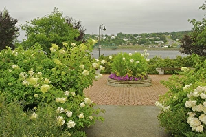 Images Dated 23rd August 2007: North America, Canada, Quebec, Saguenay, Chicoutimi. Flowers in pedestrian square