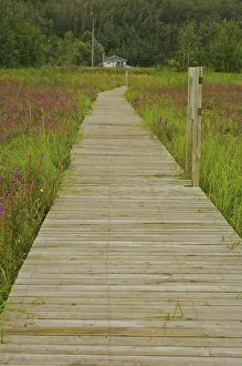 Images Dated 23rd August 2007: North America, Canada, Quebec, Saguenay, Saint-Fulgence. Looking towards a house