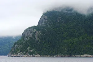 Images Dated 24th August 2007: North America, Canada, Quebec, Saguenay. View of the cliffs of Cap Trinite under the mist