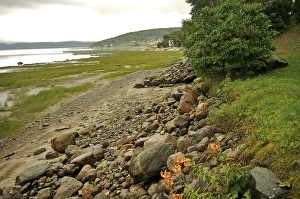 Images Dated 25th August 2007: North America, Canada, Quebec, Saguenay, Ville de Saguenay, La Baie. Early morning