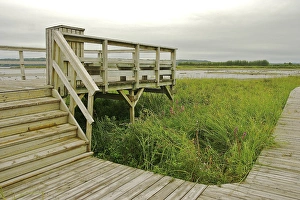 Images Dated 23rd August 2007: North America, Canada, Quebec, Saguenay, Saint-Fulgence. A section of the boardwalk