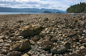 North America, Canada, Queen Charlotte Islands, rocky beach