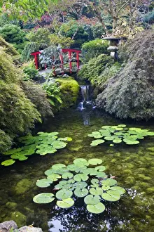 Images Dated 8th October 2009: North America; Canada; Victoria; Burchard Gardens; Autumn Color at Butchard Gardens
