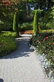 North America; Canada; Victoria; Burchard Gardens; Autumn Color at Butchard Gardens