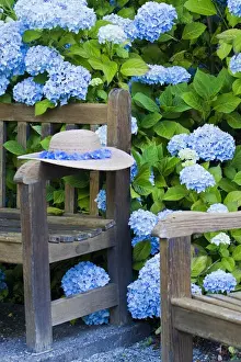Images Dated 17th July 2009: North America; Canada; Victoria; Gardens at Governors House Victoria, Bench with Old Hat