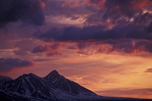 Yukon Prints: North America, Canada, Yukon, Haines Junction, St. Elias Mountains. Sunset