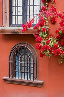 Images Dated 11th February 2006: North America, Central Mexico, Guanajuato state, San Miguel de Allende. Windows of casa