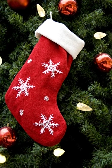 Snowflake Prints: North America. Christmas decorations on tree