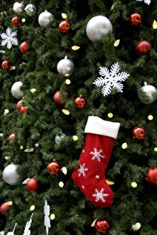 Images Dated 6th December 2008: North America. Christmas decorations on tree