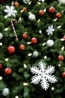Images Dated 6th December 2008: North America. Christmas decorations on tree