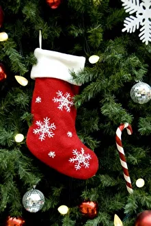 Images Dated 6th December 2008: North America. Christmas decorations on tree