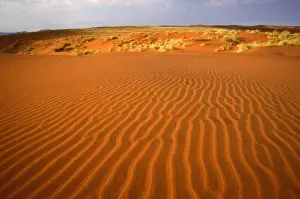 Images Dated 4th June 2008: North America, Colorado, Great Sand Dunes National Park. Sand dunes