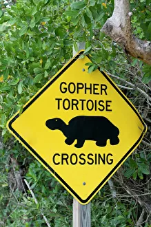 Warning Prints: North America, Florida, Sanibel Island