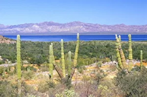 North America, Mexico