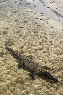 North America, Mexico