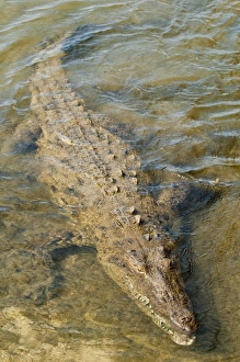 North America, Mexico