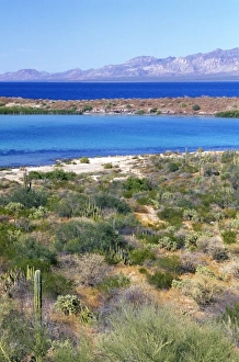 North America, Mexico
