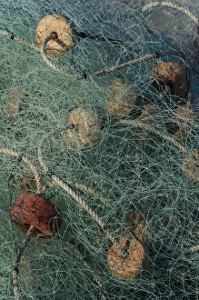 Images Dated 27th February 2013: North America, Mexico, Baja California, Entangled fishing nets washed up on a beach