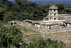 Images Dated 7th March 2005: North America, Mexico, Chiapas, Palenque the palace