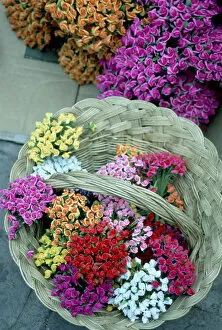 North America, Mexico, Gto. Guanajuato paper flowers for sale in the market