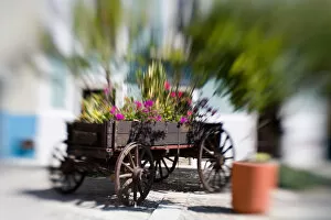Images Dated 18th February 2006: North America, Mexico, Guanajuato. Old cart filled with flowers in Plazuela San Fernando