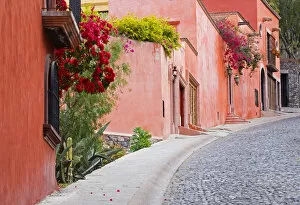 Images Dated 11th February 2006: North America, Mexico, Guanajuato state, San Miguel de Allende. A colorful neighborhood
