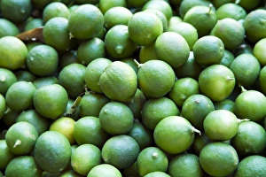 Images Dated 14th February 2006: North America, Mexico, Guanajuato state, San Miguel de Allende. Limes on display