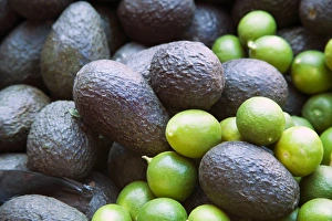 Images Dated 14th February 2006: North America, Mexico, Guanajuato state, San Miguel de Allende. Limes and avocados