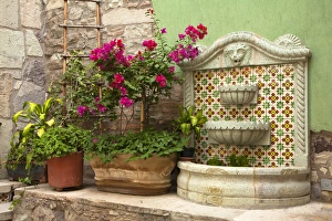 Images Dated 29th October 2010: North America, Mexico, Guanajuato State, Guanajuato, plants, bouganvilla flowers