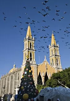 Images Dated 9th December 2006: North America, Mexico, Mazatlan. The Cathedral with a flock of pigeons