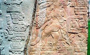Images Dated 2005 February: 17 Feb 2005 Collection