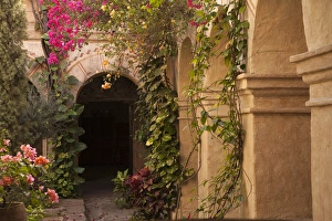 Convent Prints: North America, Mexico, Oaxaca Province, Oaxaca, courtyard of arches and bouganvilla