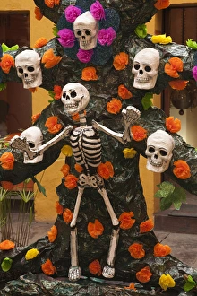 Images Dated 29th October 2009: North America, Mexico, Oaxaca Province