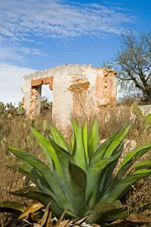 Colonial City Prints: North America, Mexico, Pozos. The mining ruins of Cinco Senores near the town of