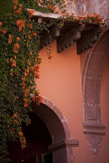 Images Dated 3rd November 2010: North America, Mexico, San Miguel de Allende