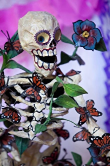 Images Dated 2nd November 2010: North America, Mexico, San Miguel de Allende, skeleton, butteflies and flowers
