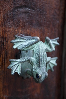 North America, Mexico, San Miguel de Allende, frog doorknob on old wood door