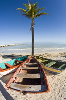 Images Dated 19th February 2007: North America, Mexico, Yucatan, Progreso. The beach of Progreso with the 5 mile