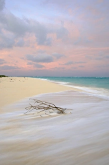 Images Dated 1st December 2008: North America, Northwestern Hawaiian Islands, Midway Atoll. Sunrise on a tropical beach