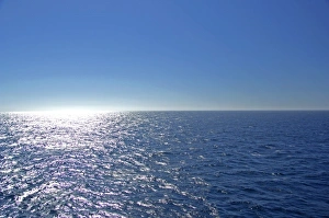 Images Dated 15th February 2007: North America, Pacific Ocean off the California coast