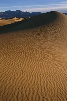 Mesquite Flat Prints: North America, U. S. A. California, Death Valley National Park, Mesquite Flat Sand Dunes