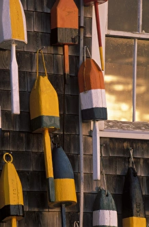 Images Dated 27th February 2008: North America, U. S. A. Maine, Bernard, Lobster buoys