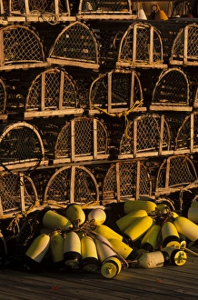 North America, U. S. A. Maine, Bernard, Lobster traps and buoys