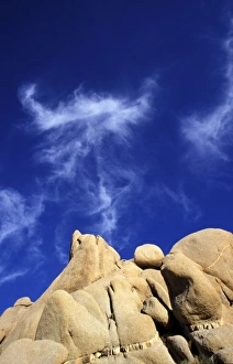 Images Dated 14th May 2008: North America, United States, California, Joshua Tree. Rock formations
