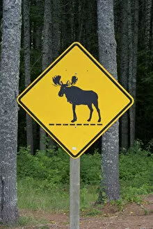 Images Dated 16th August 2006: North America, United States, Maine. A sign among the trees in the Moosehead Lake