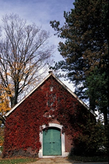 Images Dated 14th May 2008: North America, United States, Massachusetts, Boston. Ivy covered building