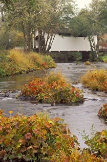 Images Dated 12th July 2010: North America, United States, Oregon. Harris covered bridge in the fall, Benton county