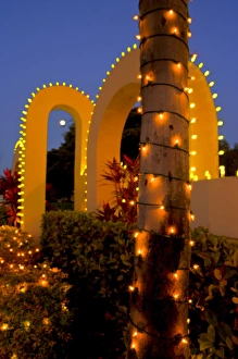 Images Dated 22nd December 2010: North America, United States, Southeast, East, Florida, Xmas, Christmas, lighting
