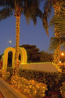 Moonset Prints: North America, United States, Southeast, East, Florida, Xmas, Christmas, lighting